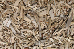 biomass boilers Talisker